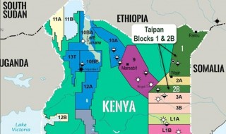 Taipan Resources seeks US$10 million in damages from Afren