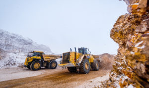 Eurasia Mining share price performance