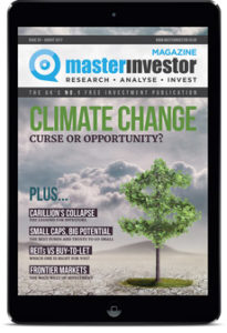 Master Investor Magazine 29
