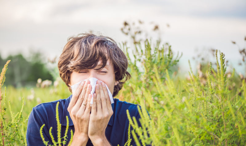 Allergy Therapeutics results nothing to sneeze at