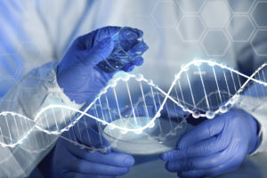 Laboratory