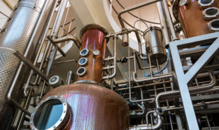 Distil boosted as revenues move upwards