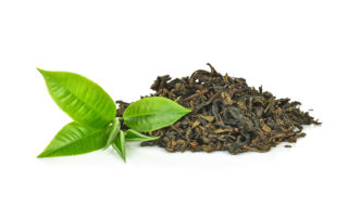 Camellia sees positive results in tea leaves