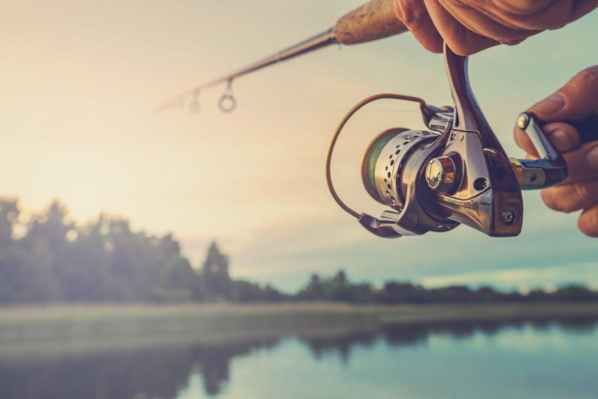 Angling Direct