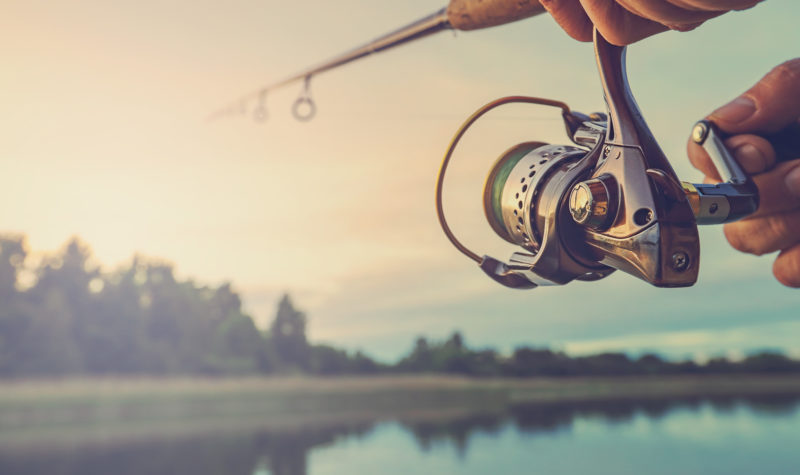 Angling Direct results hook investor interest