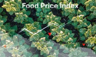 The Great Food Price Crunch
