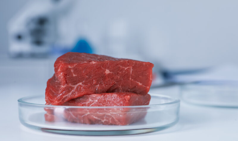 Food For Thought: The Future Of Meat-Eating