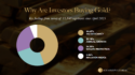 Solomon Global: Why Are Investors Buying Gold in 2026?
